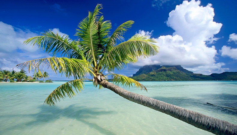 YHAI Lakshadweep Eco Study camp cum Training Programme: 2024 (October - 2024)