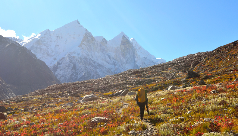 Gangotri Gaumukh Tapovan Trekking Cum Training Expedition (Uttarakhand) 2024 by Delhi State